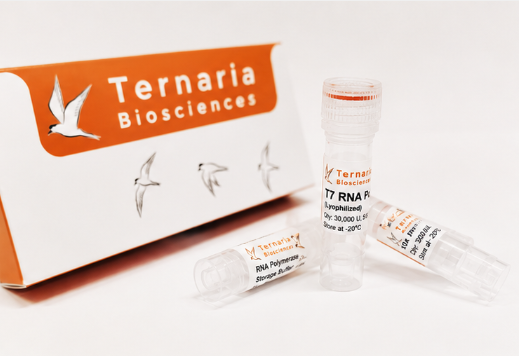 IVT Kits